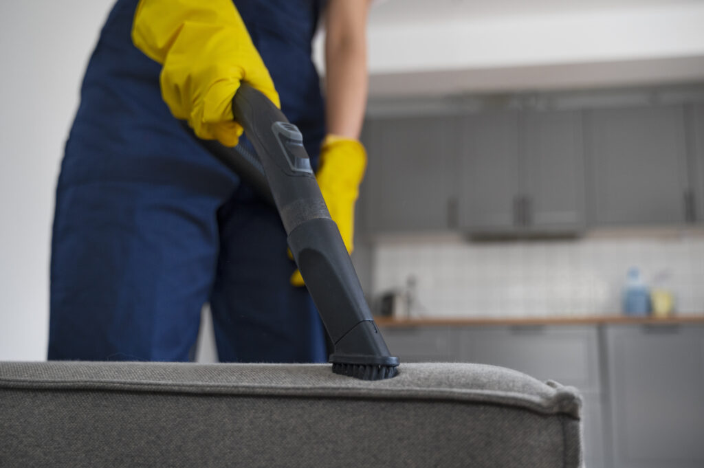 sofa cleaning